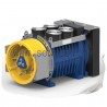 GEARLESS MONTANARI MGV34.L