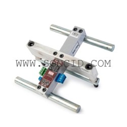 PESACARGAS KELTEK INTEGRADO LS-101