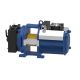 GEARLESS MONTANARI MGV20M-